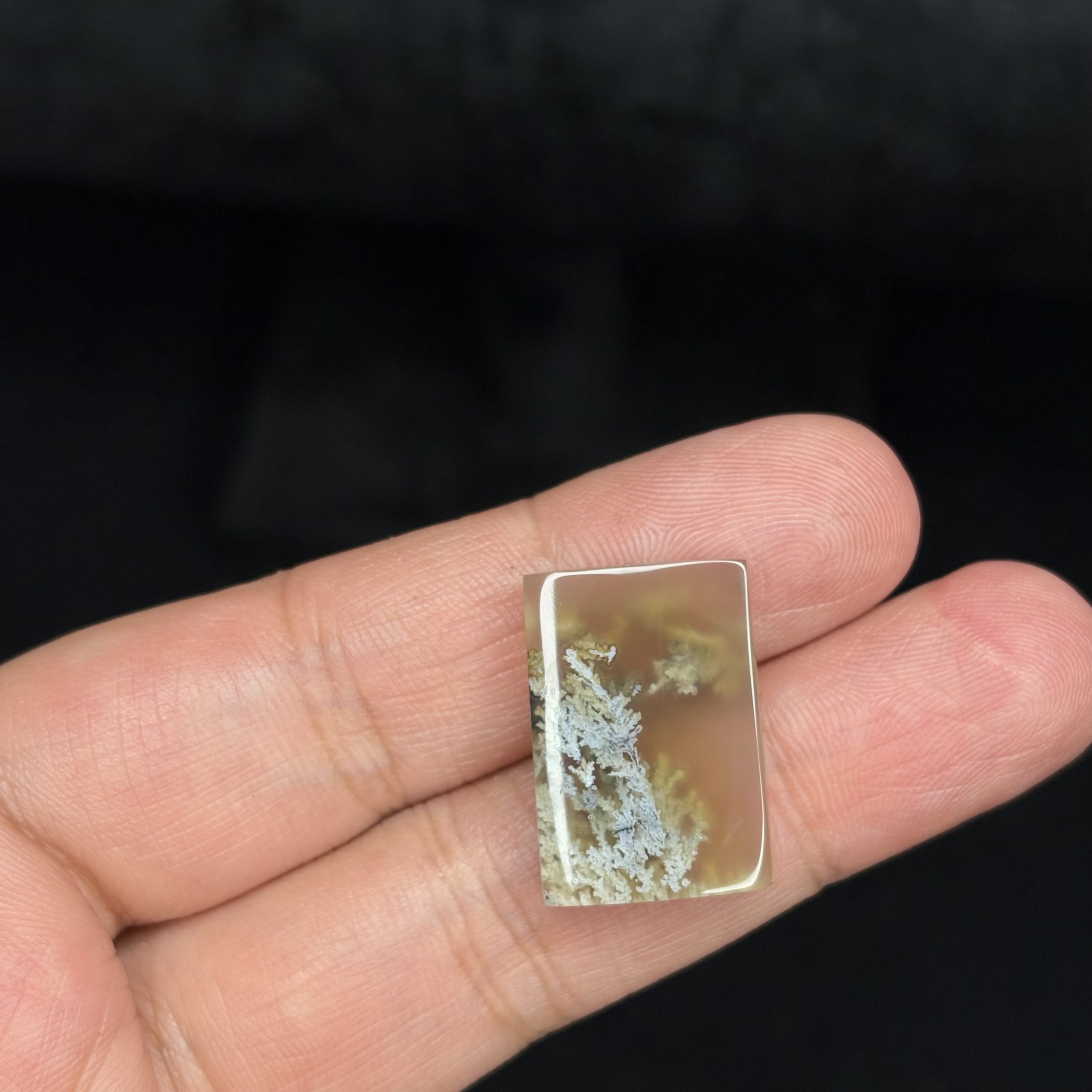 تصویر سنگ شجر بهاری 