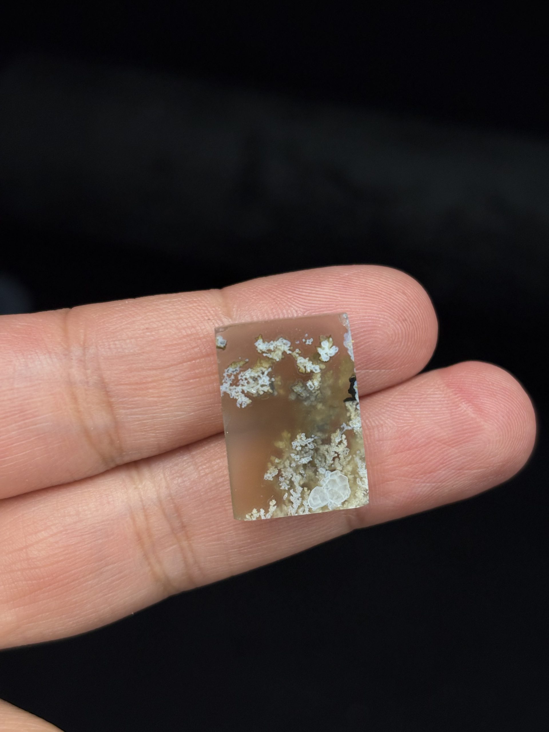 تصویر سنگ شجر بهاری 